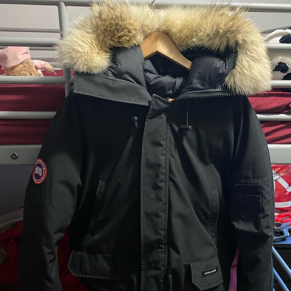 Canada goose chilliwack